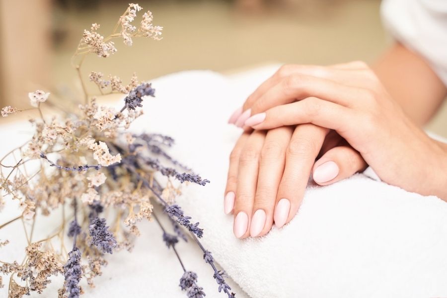 Perfectly manicured hands with gel manicure in soft pink next to dried lavender flowers